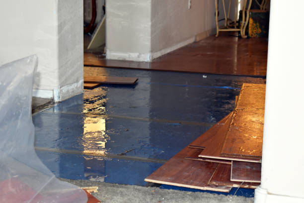 Professional Flood Cleanup technician working in Lakeview, MI